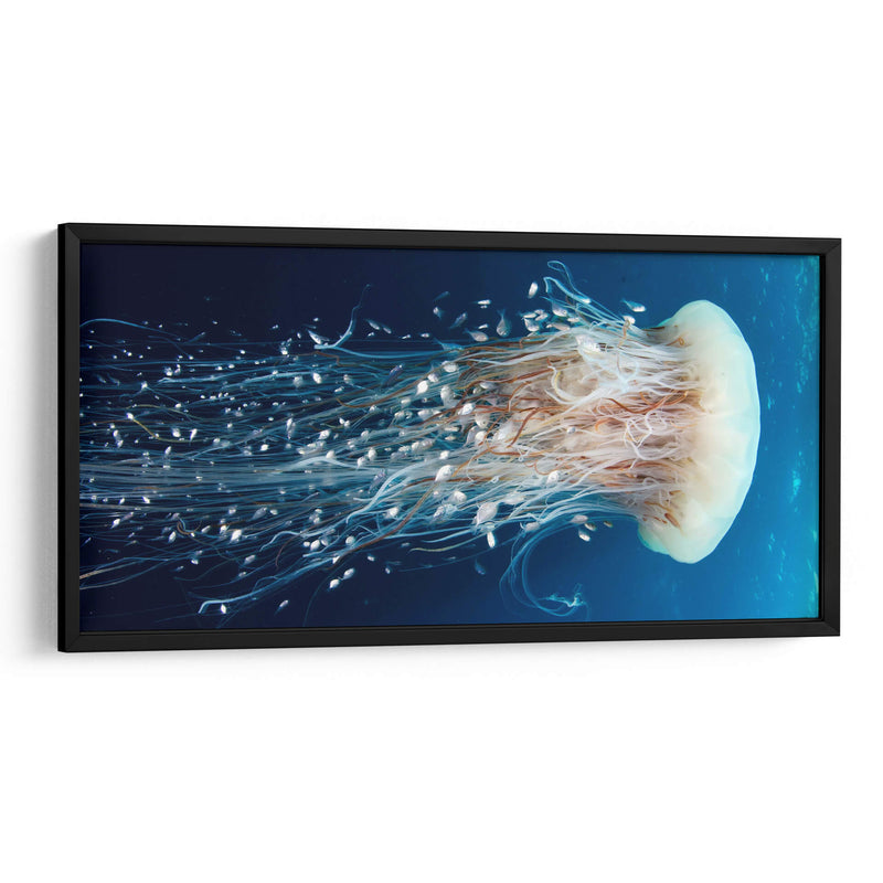 Medusa vestida de peces | Cuadro decorativo de Canvas Lab
