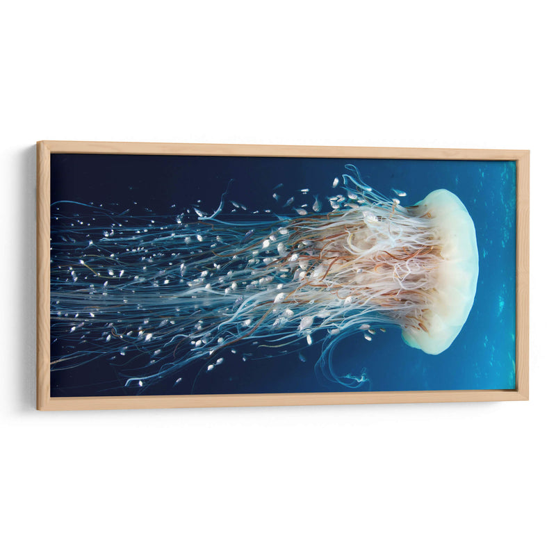 Medusa vestida de peces | Cuadro decorativo de Canvas Lab