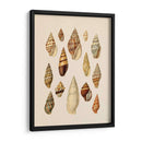 Pantalla De Cáscara De Cono Ii - Jennifer Goldberger | Cuadro decorativo de Canvas Lab