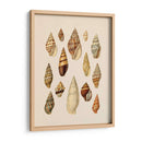 Pantalla De Cáscara De Cono Ii - Jennifer Goldberger | Cuadro decorativo de Canvas Lab