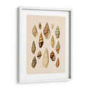 Pantalla De Cáscara De Cono Ii - Jennifer Goldberger | Cuadro decorativo de Canvas Lab