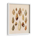 Pantalla De Cáscara De Cono Ii - Jennifer Goldberger | Cuadro decorativo de Canvas Lab