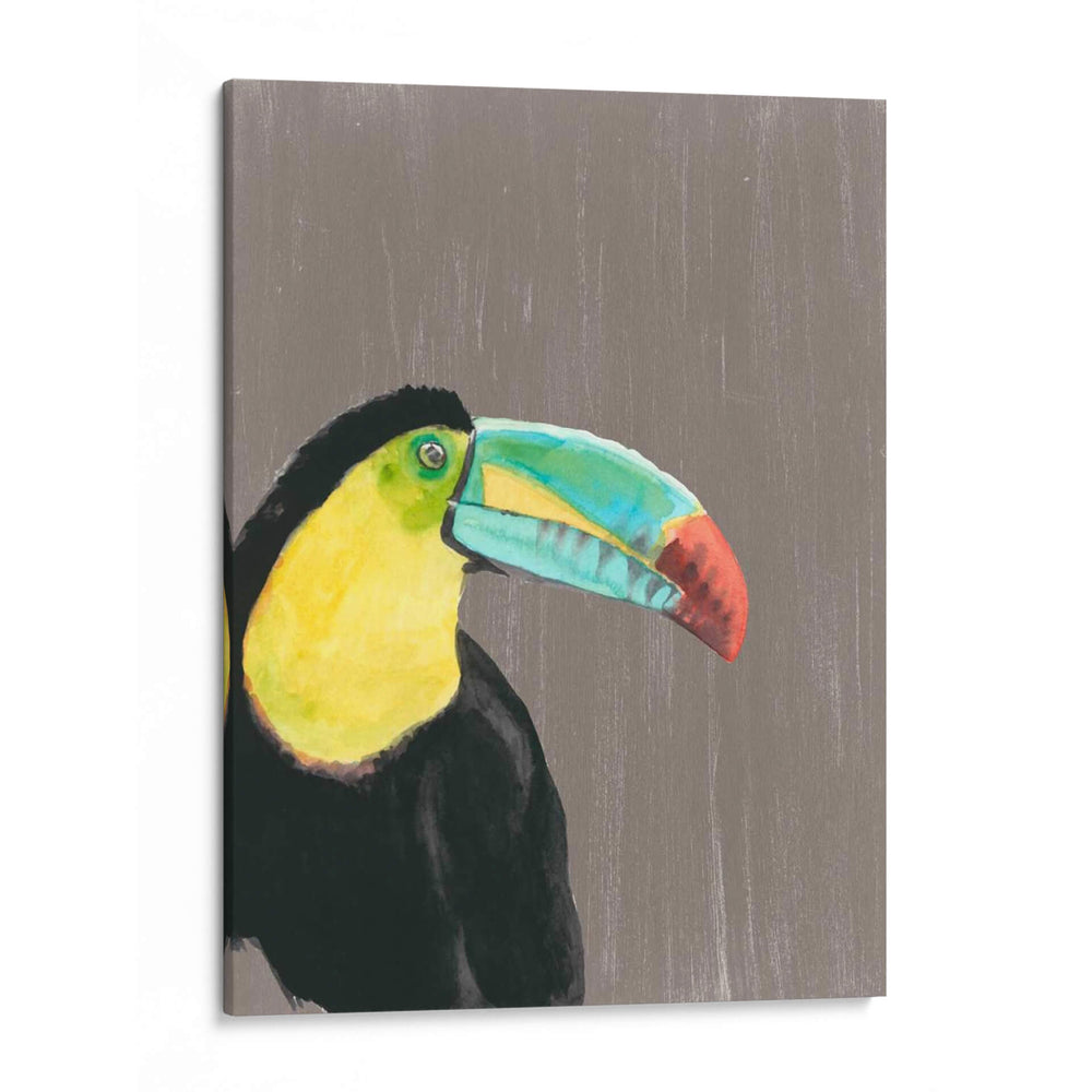 Plumaje Vibrante I - Naomi McCavitt | Cuadro decorativo de Canvas Lab