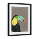 Plumaje Vibrante I - Naomi McCavitt | Cuadro decorativo de Canvas Lab