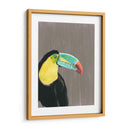 Plumaje Vibrante I - Naomi McCavitt | Cuadro decorativo de Canvas Lab