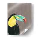 Plumaje Vibrante I - Naomi McCavitt | Cuadro decorativo de Canvas Lab