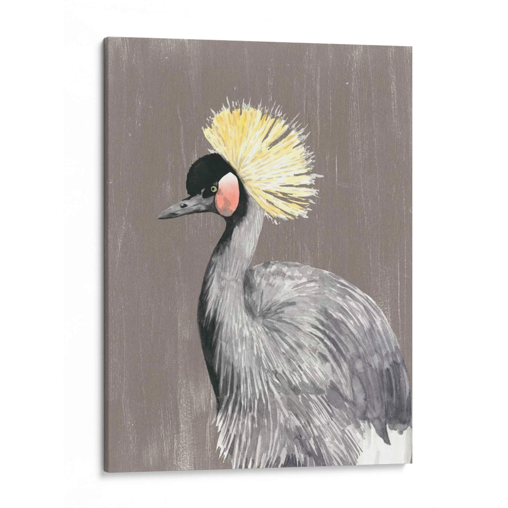 Plumaje Vibrante Ii - Naomi McCavitt | Cuadro decorativo de Canvas Lab