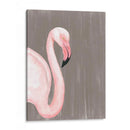 Plumaje Vibrante Iii - Naomi McCavitt | Cuadro decorativo de Canvas Lab