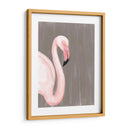 Plumaje Vibrante Iii - Naomi McCavitt | Cuadro decorativo de Canvas Lab