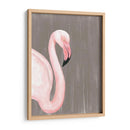 Plumaje Vibrante Iii - Naomi McCavitt | Cuadro decorativo de Canvas Lab