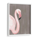 Plumaje Vibrante Iii - Naomi McCavitt | Cuadro decorativo de Canvas Lab