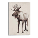 Viaje Norte Ii - Grace Popp | Cuadro decorativo de Canvas Lab