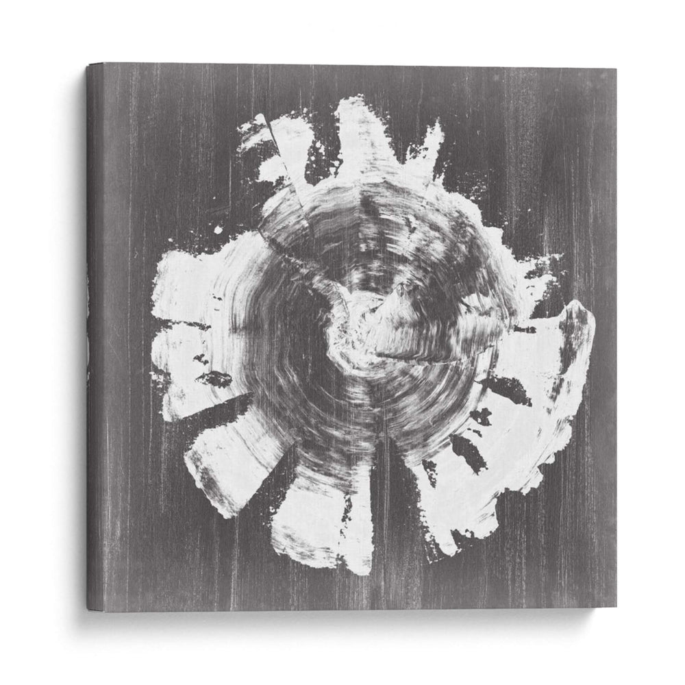 Anillo De Árbol De Pizarra Ii - Ethan Harper | Cuadro decorativo de Canvas Lab