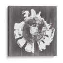 Anillo De Árbol De Pizarra Ii - Ethan Harper | Cuadro decorativo de Canvas Lab