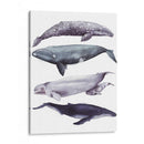 Pila De Ballenas I - Grace Popp | Cuadro decorativo de Canvas Lab