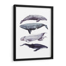 Pila De Ballenas I - Grace Popp | Cuadro decorativo de Canvas Lab