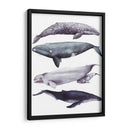 Pila De Ballenas I - Grace Popp | Cuadro decorativo de Canvas Lab
