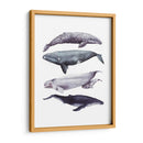 Pila De Ballenas I - Grace Popp | Cuadro decorativo de Canvas Lab