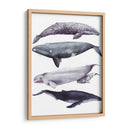 Pila De Ballenas I - Grace Popp | Cuadro decorativo de Canvas Lab