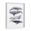 Pila De Ballenas I - Grace Popp | Cuadro decorativo de Canvas Lab