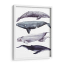 Pila De Ballenas I - Grace Popp | Cuadro decorativo de Canvas Lab