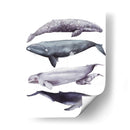 Pila De Ballenas I - Grace Popp | Cuadro decorativo de Canvas Lab