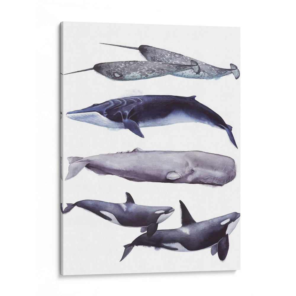 Pila De Ballenas Ii - Grace Popp | Cuadro decorativo de Canvas Lab