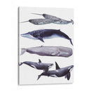 Pila De Ballenas Ii - Grace Popp | Cuadro decorativo de Canvas Lab