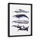 Pila De Ballenas Ii - Grace Popp | Cuadro decorativo de Canvas Lab