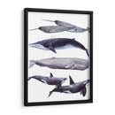 Pila De Ballenas Ii - Grace Popp | Cuadro decorativo de Canvas Lab
