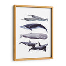 Pila De Ballenas Ii - Grace Popp | Cuadro decorativo de Canvas Lab