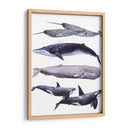 Pila De Ballenas Ii - Grace Popp | Cuadro decorativo de Canvas Lab