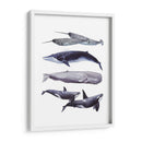 Pila De Ballenas Ii - Grace Popp | Cuadro decorativo de Canvas Lab