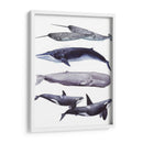Pila De Ballenas Ii - Grace Popp | Cuadro decorativo de Canvas Lab