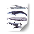 Pila De Ballenas Ii - Grace Popp | Cuadro decorativo de Canvas Lab