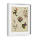 Gráfico De Flores Postscript I - Jennifer Goldberger | Cuadro decorativo de Canvas Lab