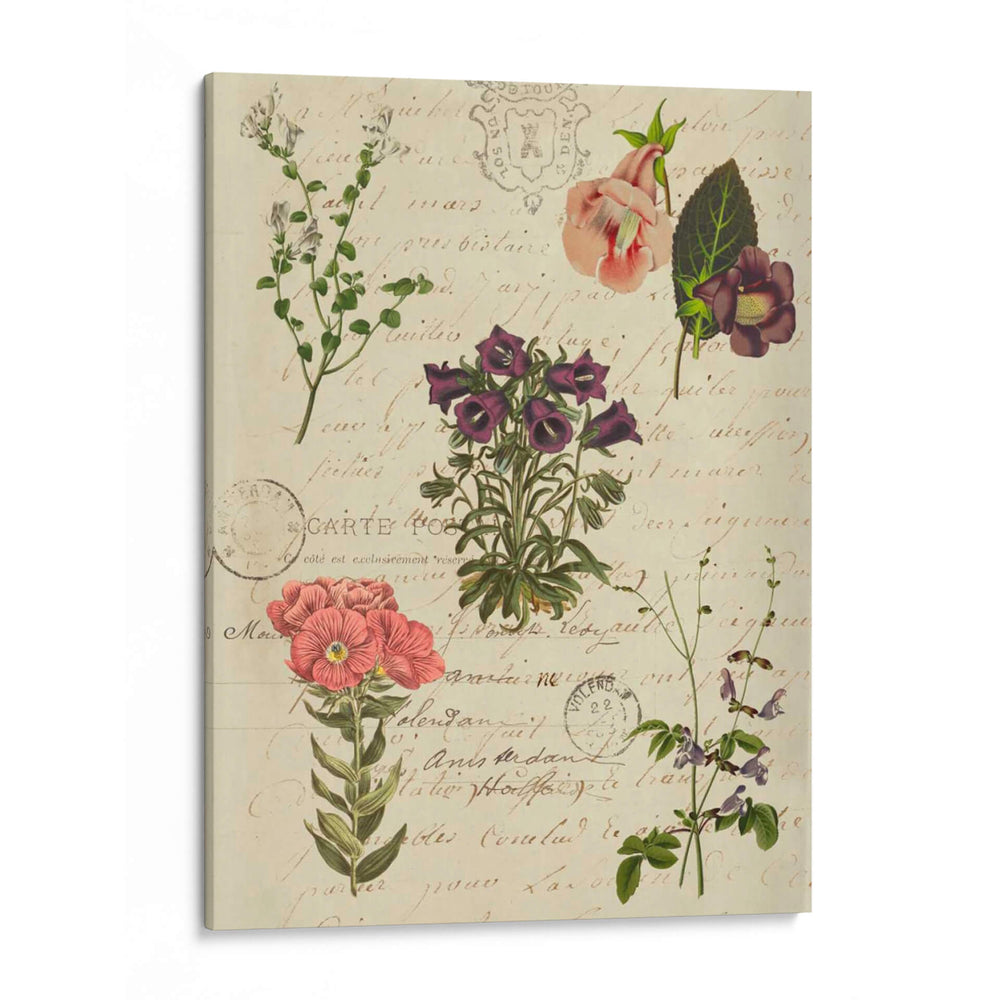 Gráfico De Flores Postscript Ii - Jennifer Goldberger | Cuadro decorativo de Canvas Lab