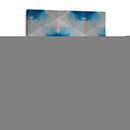 Zafiro Frost Vi - Renee W. Stramel | Cuadro decorativo de Canvas Lab