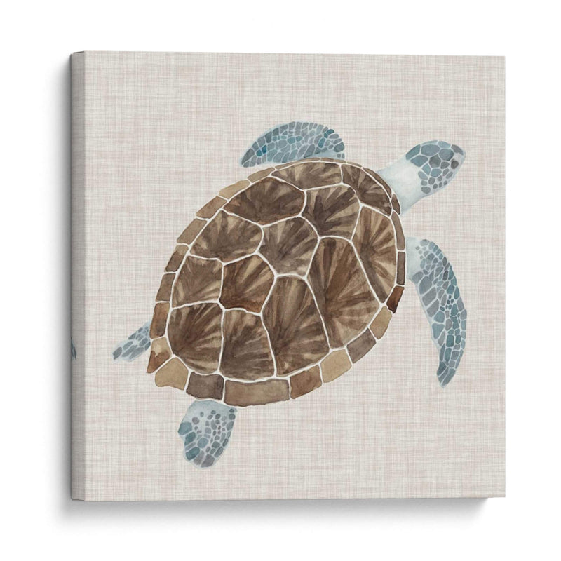 Tortuga De Mar I - Naomi McCavitt | Cuadro decorativo de Canvas Lab