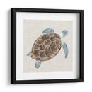Tortuga De Mar I - Naomi McCavitt | Cuadro decorativo de Canvas Lab