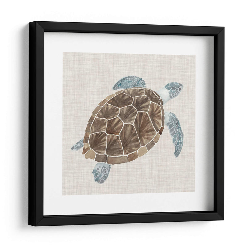 Tortuga De Mar I - Naomi McCavitt | Cuadro decorativo de Canvas Lab
