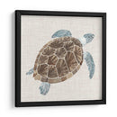 Tortuga De Mar I - Naomi McCavitt | Cuadro decorativo de Canvas Lab