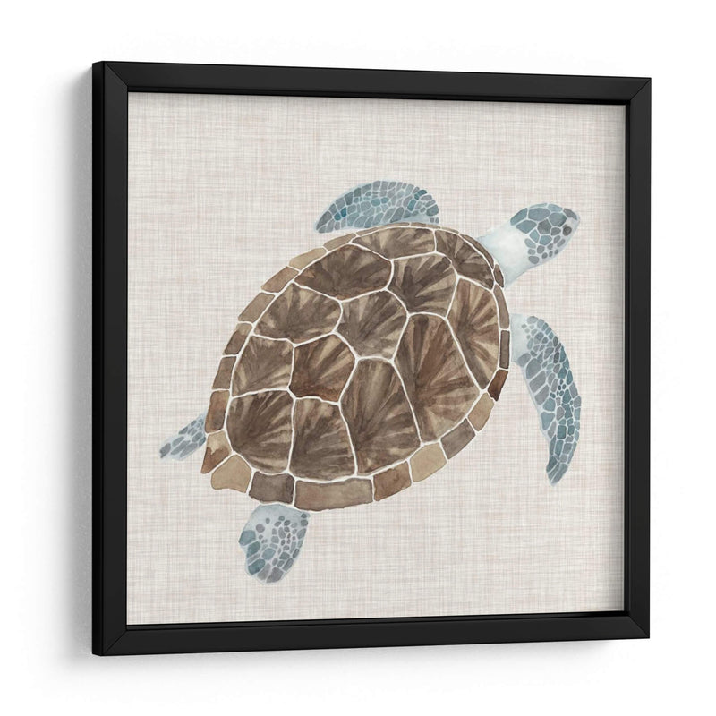 Tortuga De Mar I - Naomi McCavitt | Cuadro decorativo de Canvas Lab