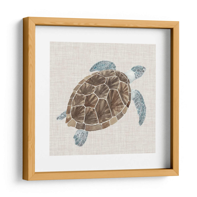 Tortuga De Mar I - Naomi McCavitt | Cuadro decorativo de Canvas Lab