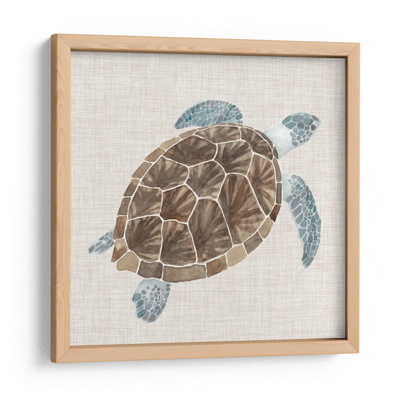 Tortuga De Mar I - Naomi McCavitt | Cuadro decorativo de Canvas Lab