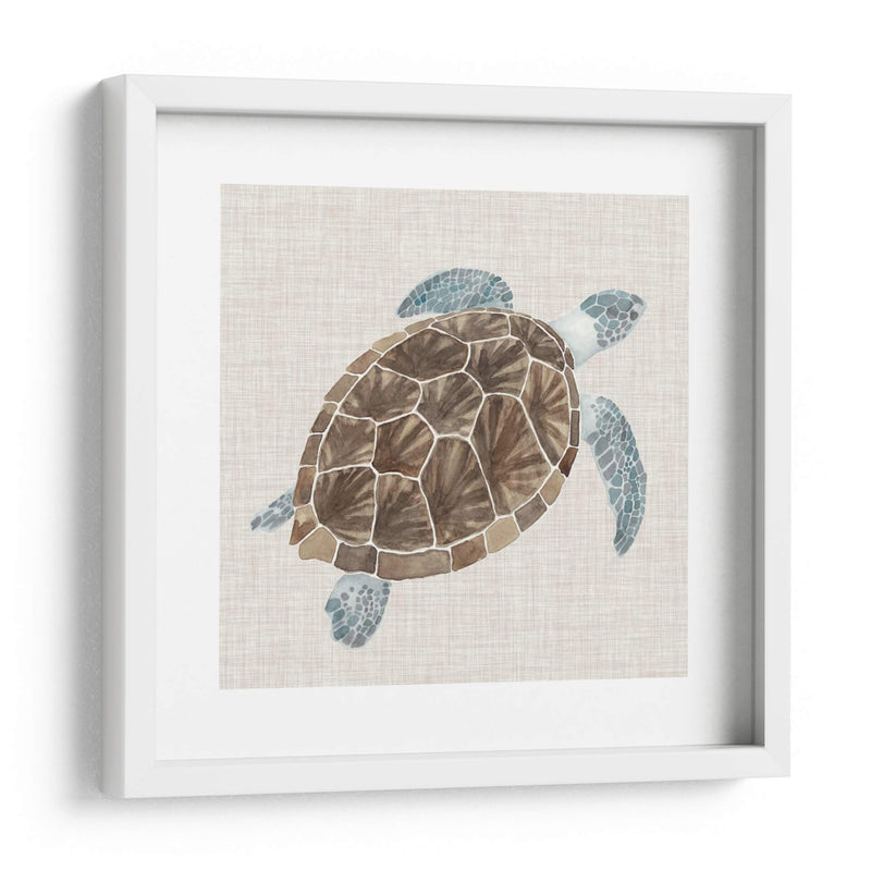 Tortuga De Mar I - Naomi McCavitt | Cuadro decorativo de Canvas Lab