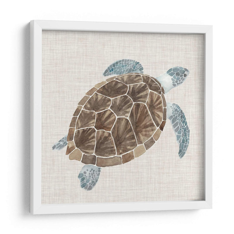Tortuga De Mar I - Naomi McCavitt | Cuadro decorativo de Canvas Lab