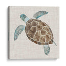 Tortuga De Mar Ii - Naomi McCavitt | Cuadro decorativo de Canvas Lab