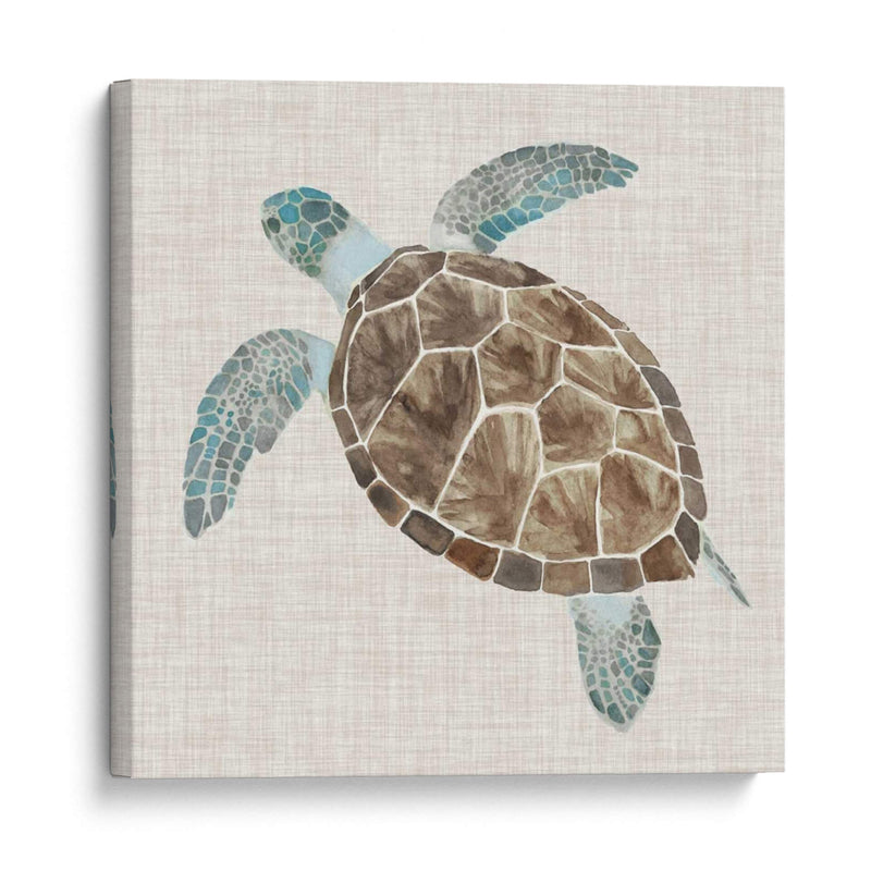 Tortuga De Mar Ii - Naomi McCavitt | Cuadro decorativo de Canvas Lab