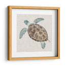 Tortuga De Mar Ii - Naomi McCavitt | Cuadro decorativo de Canvas Lab